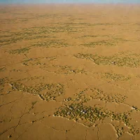 Otindag Steppe