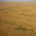Otindag Steppe