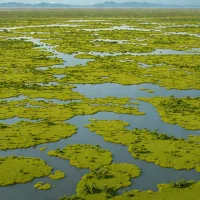 Otún Lagoon Marshes