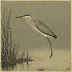 Ohara Koson, Heron in the Rain