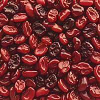 Ocean Spray Dried Cranberries (Sweetened)