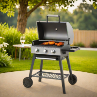 Outback Guidance Portable Gas Grill