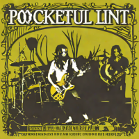 Pocketful of Lint