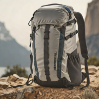 Patagonia Black Hole 32L