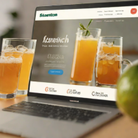 Premium Kombucha Brands (e.g., GT's Synergy)