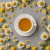 Pukka Organic Sleepy Time Chamomile Blend
