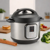 Pressure Cooker (Standalone, Basic)