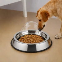 Pioneer Pet Raindrop Stainless Steel Feeder