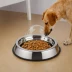Pioneer Pet Raindrop Stainless Steel Feeder