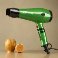 Parlux 385 Light Hair Dryer