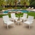 Polaris 4-Piece Resin Patio Chair Set