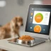 PetSafe Automatic Pet Feeder
