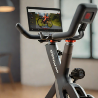 Peloton Bike (Original)