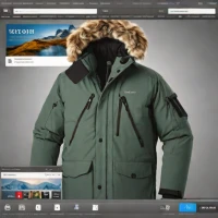 Patagonia Arctic Parka
