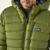 Patagonia Down Hoody