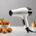 Panasonic Nanoe High Velocity Hair Dryer