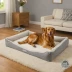 PetFusion BetterLounge Solid Foam Dog Bed