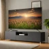 Panasonic FZ950 OLED