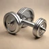 Pepin FAST Series Adjustable Dumbbells