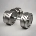 Primal Strength Personal Series 34 kg Adjustable Dumbbells