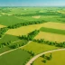 Podolian Steppe