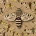 Pine processionary moth