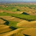 Palouse Steppe