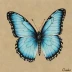 Palos Verdes Blue