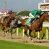Portuguese Derby