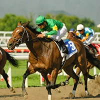 Philippine Derby