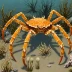 Portly Spider Crab