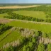 Pinery Provincial Park Prairie
