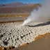 Putana fumarole fields