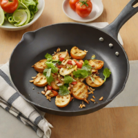 Premier Chef Non-Stick 10-Inch Skillet