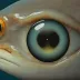 Pearleye