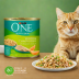 Purina One Healthy Weight Chicken Recipe