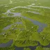Pripyat Marshes