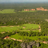 Parque Nacional do Cerrado