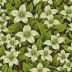 Painted Trillium