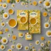 Pukka Chamomile, Vanilla & Manuka Honey