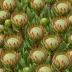 Protea cynaroides
