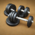 PowerGrip Pro Adjustable Dumbbell Set