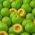 Persian Melon