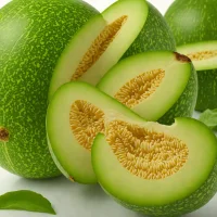 Piel de Sapo