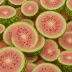 Pink Lemonade