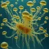 Pleurobrachia pileus (Sea Gooseberry)