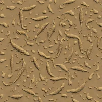 Pikaia gracilens
