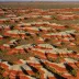 Painted Desert (South Australia)