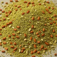 Penzeys Greek Seasoning