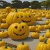 Pumpkin (Naoshima)